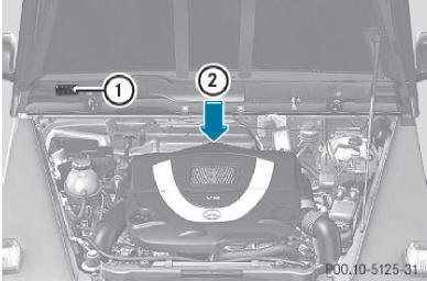 Numéro du moteur